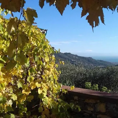 Agrisport Bilocale Terra Διαμέρισμα *